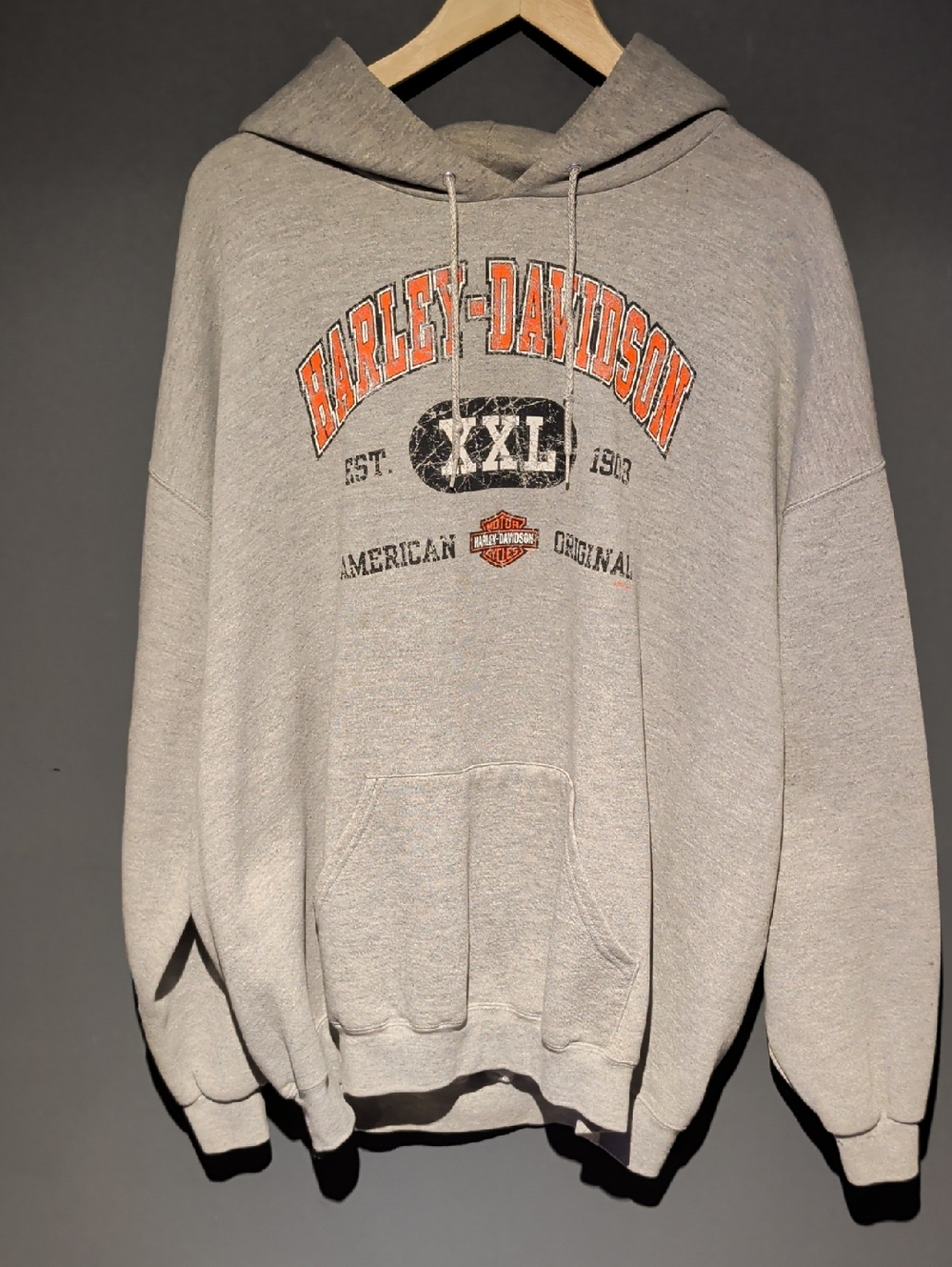Harley-Davidson Light Gray Hoodie 2001